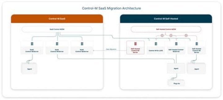 Run service - Documentation for Control-M SaaS Automation API