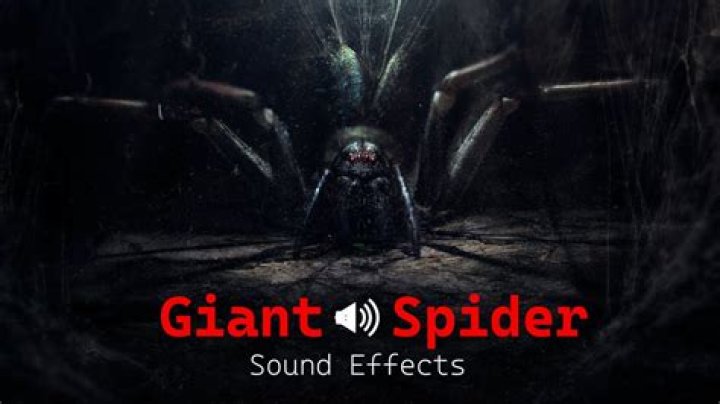 Spider Sound Effects Fan Casting
